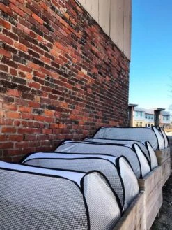 Row Shelter Accelerator 9 Row Shelter Accelerator -Yard Tool Store 8591990 01IN tif