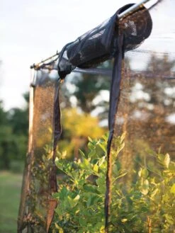 Storm Proof Crop Cage, Large -Yard Tool Store 8592463 115 tif