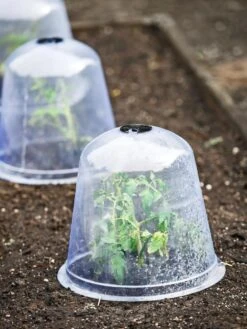 Large Garden Cloches, Set Of 3 -Yard Tool Store 8593984 9432 tif