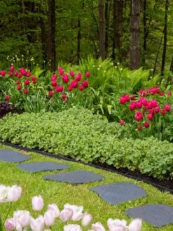 Recycled Rubber Flagstone Stepping Stone 16 Recycled Rubber Flagstone Stepping Stone -Yard Tool Store 8594282 518 tif