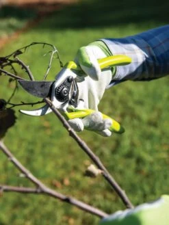 Gardener's Pro Pruner #2 -Yard Tool Store 8596605 032 tif