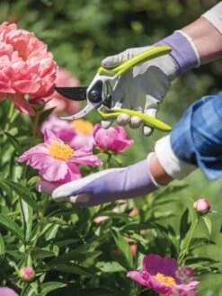 Gardener's Pro Pruner #2 -Yard Tool Store 8596605 1261 tif