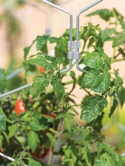 Gardener's Vertex Lifetime Tomato Cage -Yard Tool Store 8598426 0011 tif