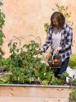 Gardener's Vertex Lifetime Tomato Cage -Yard Tool Store 8598426 0026 tif