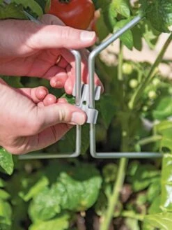 Gardener's Vertex Lifetime Pepper And Eggplant Cage -Yard Tool Store 8598426 0084 tif 1