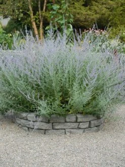 Rock Lock Interlocking Garden System, Curved Sets -Yard Tool Store 8598737 04V tif