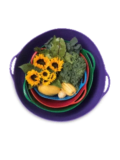 Colorful Tubtrug, 3-1/2 Gallon -Yard Tool Store 8599088 20GalTubTrug gif 1