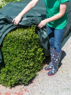 The Planket® Frost Protection Plant Cover, 10' X 20' -Yard Tool Store 8599101 0929 tif
