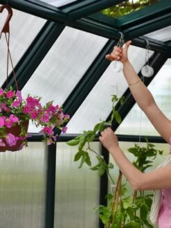 Canopia® By Palram Hobby Gardener Greenhouse, 8' -Yard Tool Store 8599331 04V tif