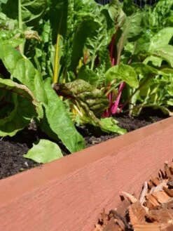 Straight Landscape Edging Kit With 2" Boards -Yard Tool Store 8599408 02V tif