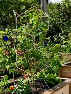 Gardener's Vertex Lifetime Pepper And Eggplant Cage -Yard Tool Store 8599554 01CUST tif