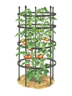 Titan Tomato Cages, Set Of 3 11 Titan Tomato Cages, Set Of 3 -Yard Tool Store 8599861 0001 art tif