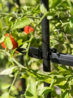 Titan Tomato Cages, Set Of 3 13 Titan Tomato Cages, Set Of 3 -Yard Tool Store 8599861 0079 tif