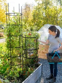 Titan Tomato Cages, Set Of 3 9 Titan Tomato Cages, Set Of 3 -Yard Tool Store 8599861 0114 tif