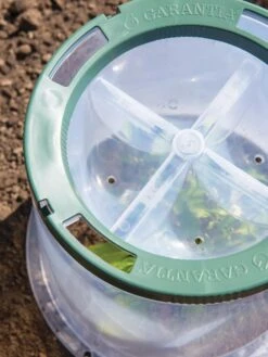 Sunny Forcing Cloches, Set Of 3 9 Sunny Forcing Cloches, Set Of 3 -Yard Tool Store 8600075 0742 tif