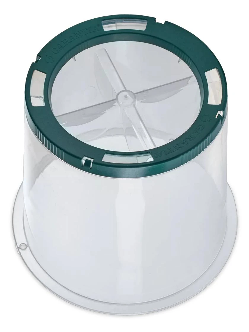 Sunny Forcing Cloches, Set Of 3 2 Sunny Forcing Cloches, Set Of 3 - Image 2