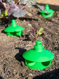 Slug And Snail Traps, Set Of 3 -Yard Tool Store 8600120 1788