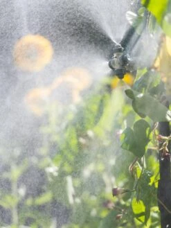 Landscape 4-Way Cooling Mist Kit, 50' -Yard Tool Store 8600154 0695 tif