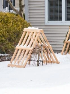 Cedar Shrub Guard -Yard Tool Store 8609071 3531 cedar shrub guard