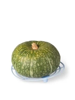 Melon And Squash Cradles, Set Of 6 -Yard Tool Store 8609464 5204 tif