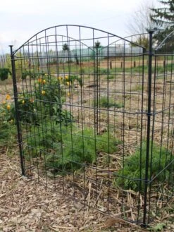 Yard Tool Store -Yard Tool Store 8609510 5235 tif