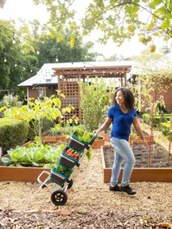 Mod Hod Trolley With Teal Mod Hods -Yard Tool Store 8610240 0070 tif