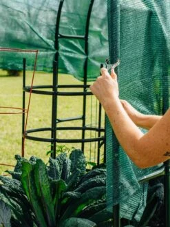 Maxi Garden Hoops With Clips -Yard Tool Store 8610372 368 tif