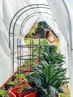 Maxi Garden Hoops With Clips -Yard Tool Store 8610373 377 tif