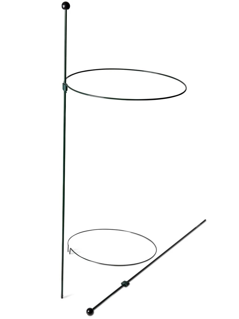 Peacock Classic Plant Support Rings 15", Set Of 2 4 Peacock Classic Plant Support Rings 15", Set Of 2 - Image 4