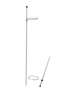 Peacock Mini Plant Support Rings 4", Set Of 2 -Yard Tool Store 8610386 9566