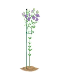 Peacock Mini Plant Support Rings 4", Set Of 2 -Yard Tool Store 8610386 peacock4x36