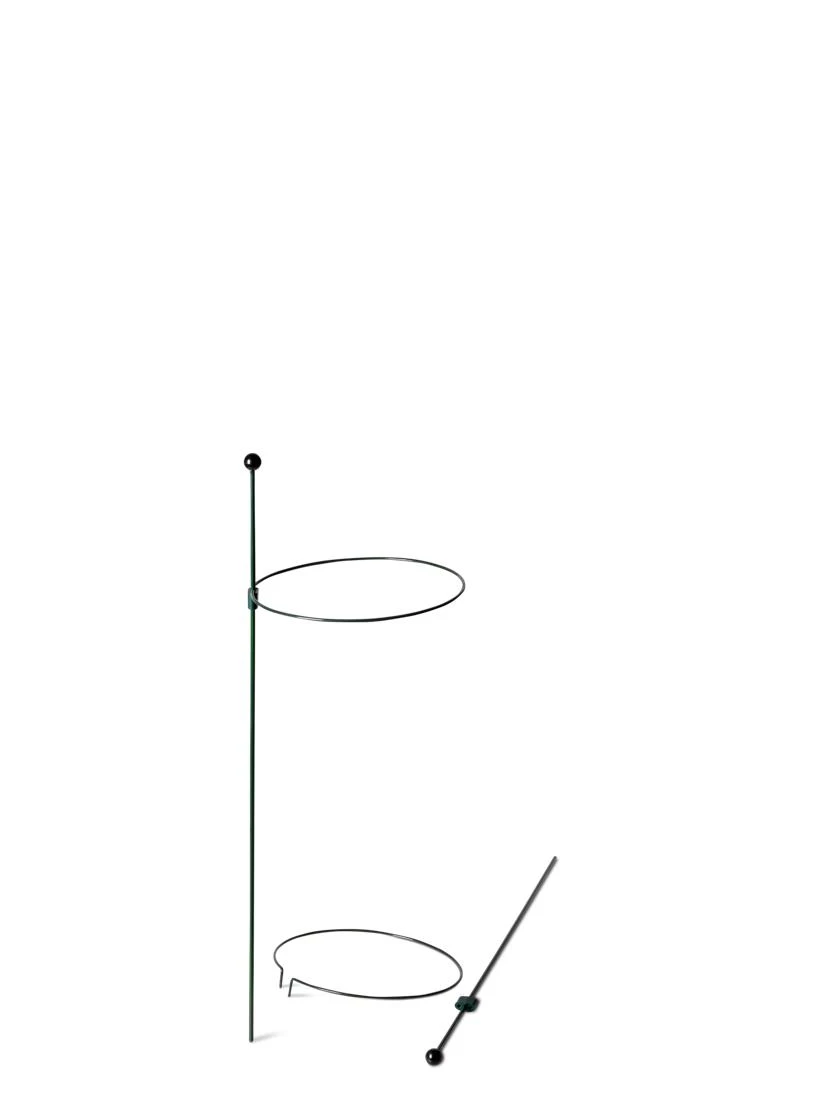 Peacock Mini Plant Support Rings 8", Set Of 2 6 Peacock Mini Plant Support Rings 8", Set Of 2 - Image 6