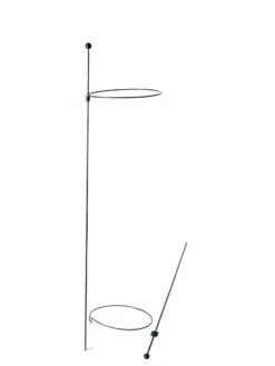 Peacock Mini Plant Support Rings 8", Set Of 2 13 Peacock Mini Plant Support Rings 8", Set Of 2 -Yard Tool Store 8610388 9565 tif