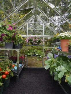 Canopia® By Palram Harmony™ Greenhouse, 6' X 14' -Yard Tool Store 8610563 03V jpg