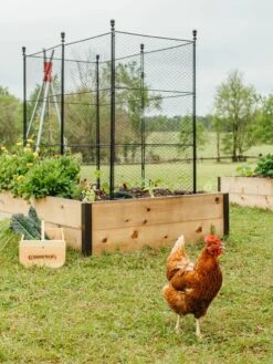 Tall Chicken Wire Critter Fence With Gate -Yard Tool Store 8611020 316 tif