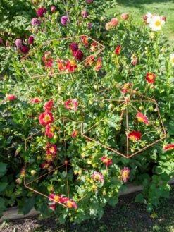 Parasol Plant Supports, Set Of 3 -Yard Tool Store 8611129 050 tif