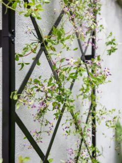 Lattice Gable Wall Trellis 6 Lattice Gable Wall Trellis -Yard Tool Store 8611130 011