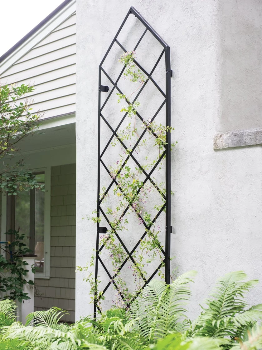 Lattice Gable Wall Trellis 1 Lattice Gable Wall Trellis