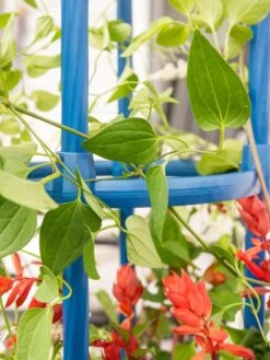 Fleur De Lis Obelisk, 67" -Yard Tool Store 8611663 0607 tif