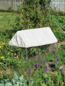 Crop Coop Covers Set 6 Crop Coop Covers Set -Yard Tool Store 8611698 004 tif