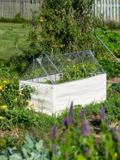 Crop Coop Covers Set 7 Crop Coop Covers Set -Yard Tool Store 8611698 005 tif