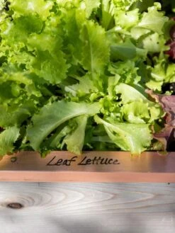 Re-Markable Raised Bed Trim -Yard Tool Store 8611757 326 tif