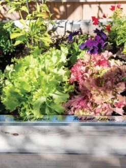 Re-Markable Raised Bed Trim -Yard Tool Store 8611758 306 tif