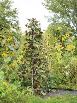 DIY Connector For Teepee Trellis 15 DIY Connector For Teepee Trellis -Yard Tool Store 8611896 062 tif