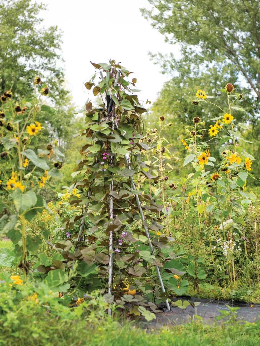 DIY Connector For Teepee Trellis 4 DIY Connector For Teepee Trellis - Image 4