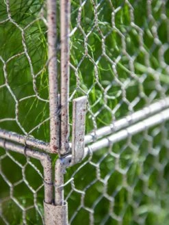 Chicken Wire Crop Coop Extension 10 Chicken Wire Crop Coop Extension -Yard Tool Store 8611940 232 tif