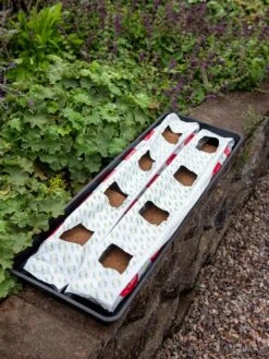 Berry Blend Coir Grow Bag, Set Of 2 -Yard Tool Store 8611968 361 tif