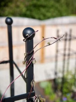 Essex Square Obelisk -Yard Tool Store 8611984 278 tif