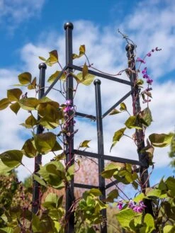 Essex Square Obelisk -Yard Tool Store 8611984 354 tif