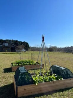 Insect And Pest Net Row Protector -Yard Tool Store 8611985 04 tif